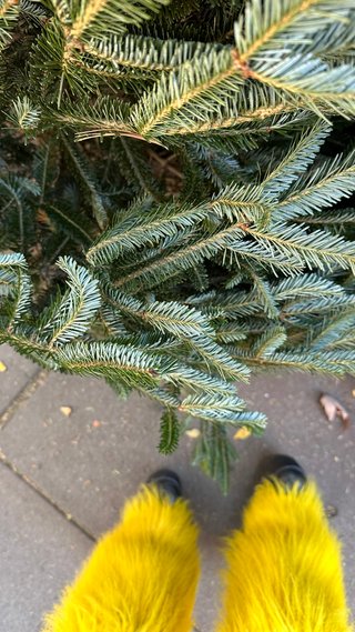 IMG_0129