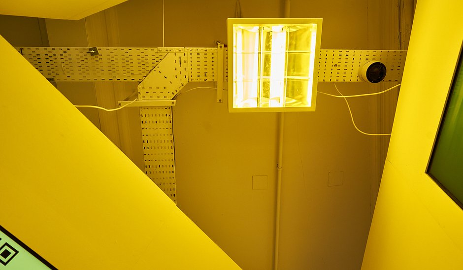 GIANT Gallery Uli Ap Installation-48-JPEG Web