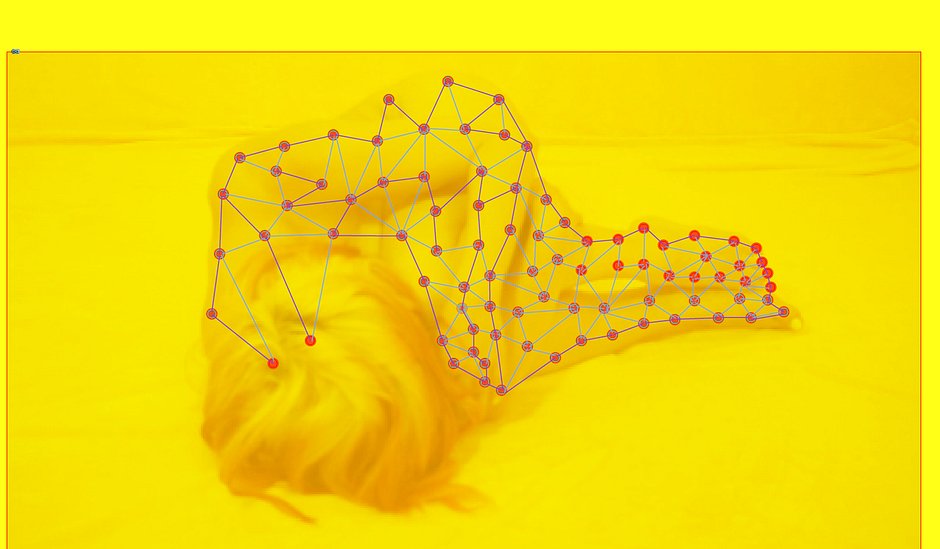 Ap_Uli_Alien AI EEG Skin