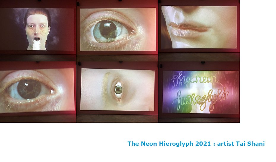 ULI AP_1_SILVER ALIENATION 22